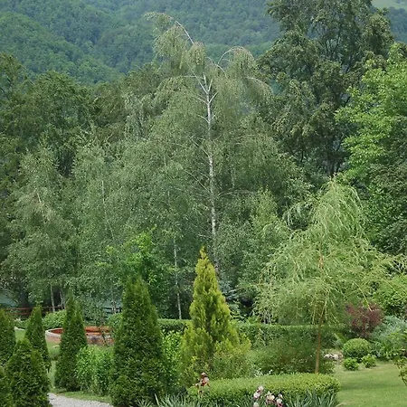 Πανσιόν Casa Lacului *